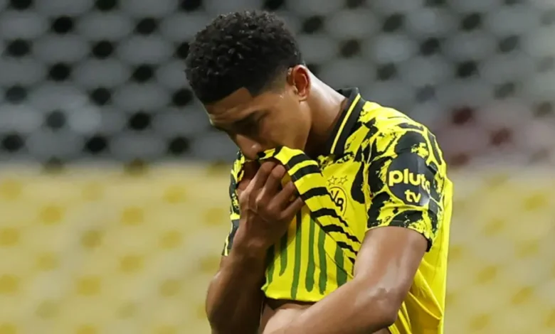 Jobe Bellingham helped Sunderland to promotion into the Premier league before joining Dortmund this summer