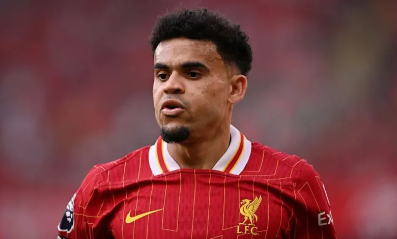 Luis Diaz joined Liverpool from Porto in January 2022