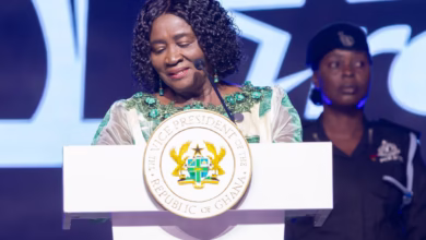 Vice President, Professor Jane Naana Opoku-Agyemang