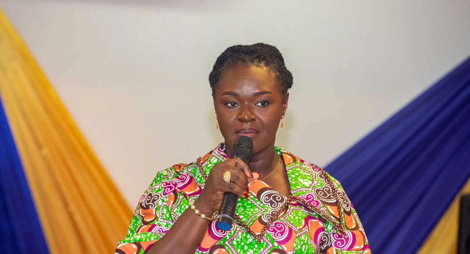 The Chief Executive Officer of the Environmental Protection Authority (EPA), Professor Nana Ama Brown Klutse