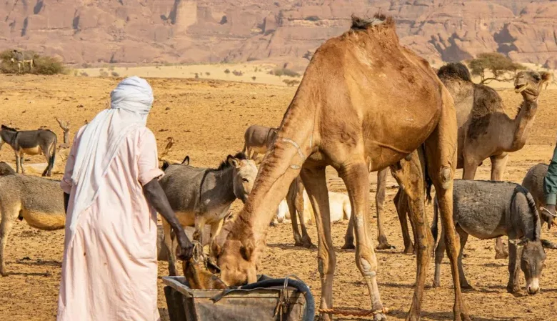 There are frequently disputes over access to water in Chad