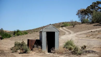 A file photo of a pit latrine, or long-drop toilet, in rural Australia