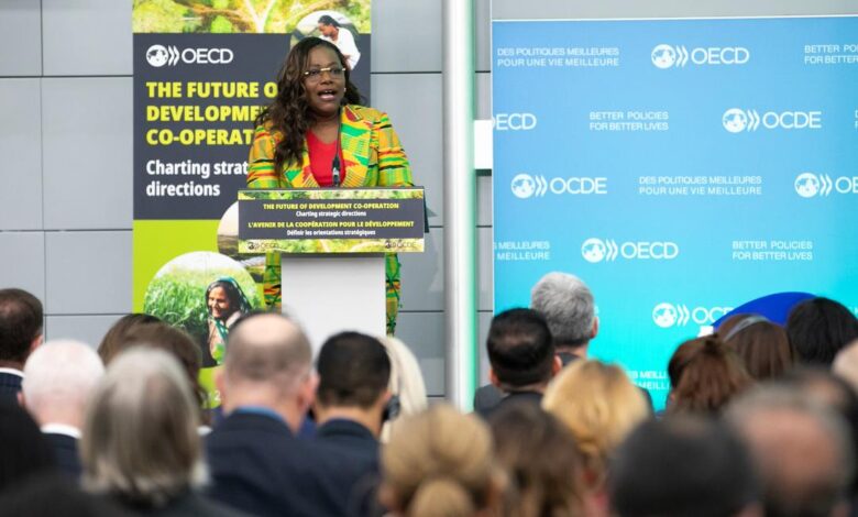Deputy Chief of Staff (Administration) at the Office of the President and Presidential Advisory Liaison to the Accra Reset Secretariat, Nana Oye Bampoe Addo