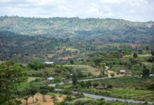 Farmland in the Oti Region