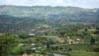 Farmland in the Oti Region