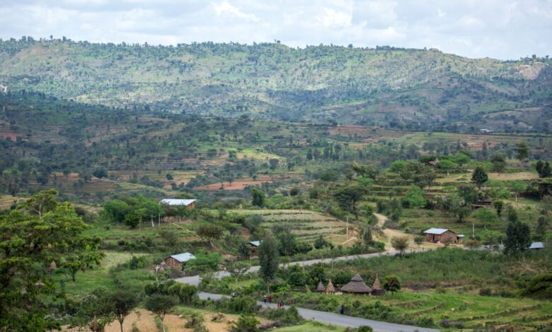 Farmland in the Oti Region